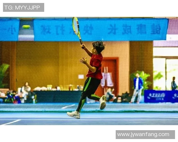 南京羽毛球队逆袭之路:挑战赛中的拼搏与荣耀之旅